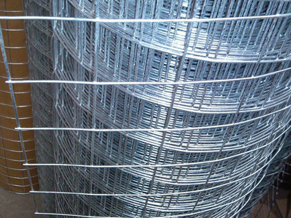 鍍鋅電焊網(wǎng)